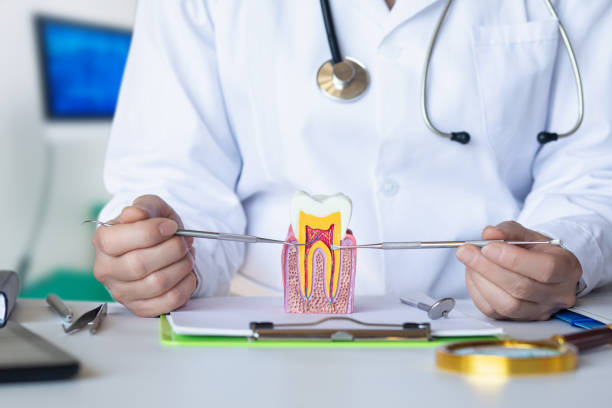 Best Emergency Wisdom Teeth Removal in Sherman, IL